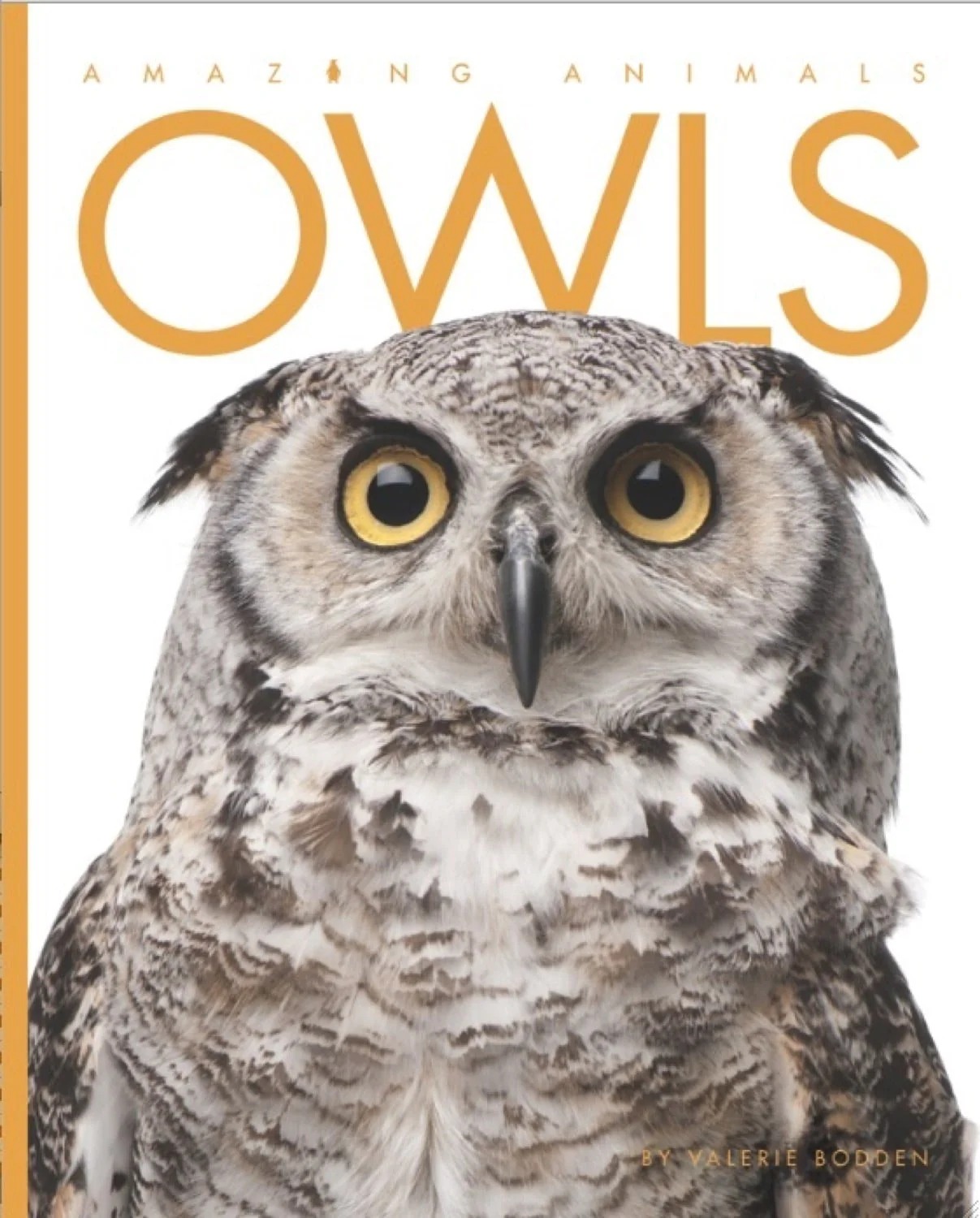 Owls (Amazing Animals)