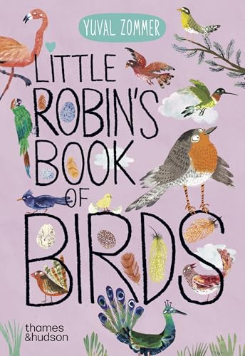 Little Robin's Book of Birds (Big Book of...)