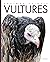 Vultures (Amazing Animals)