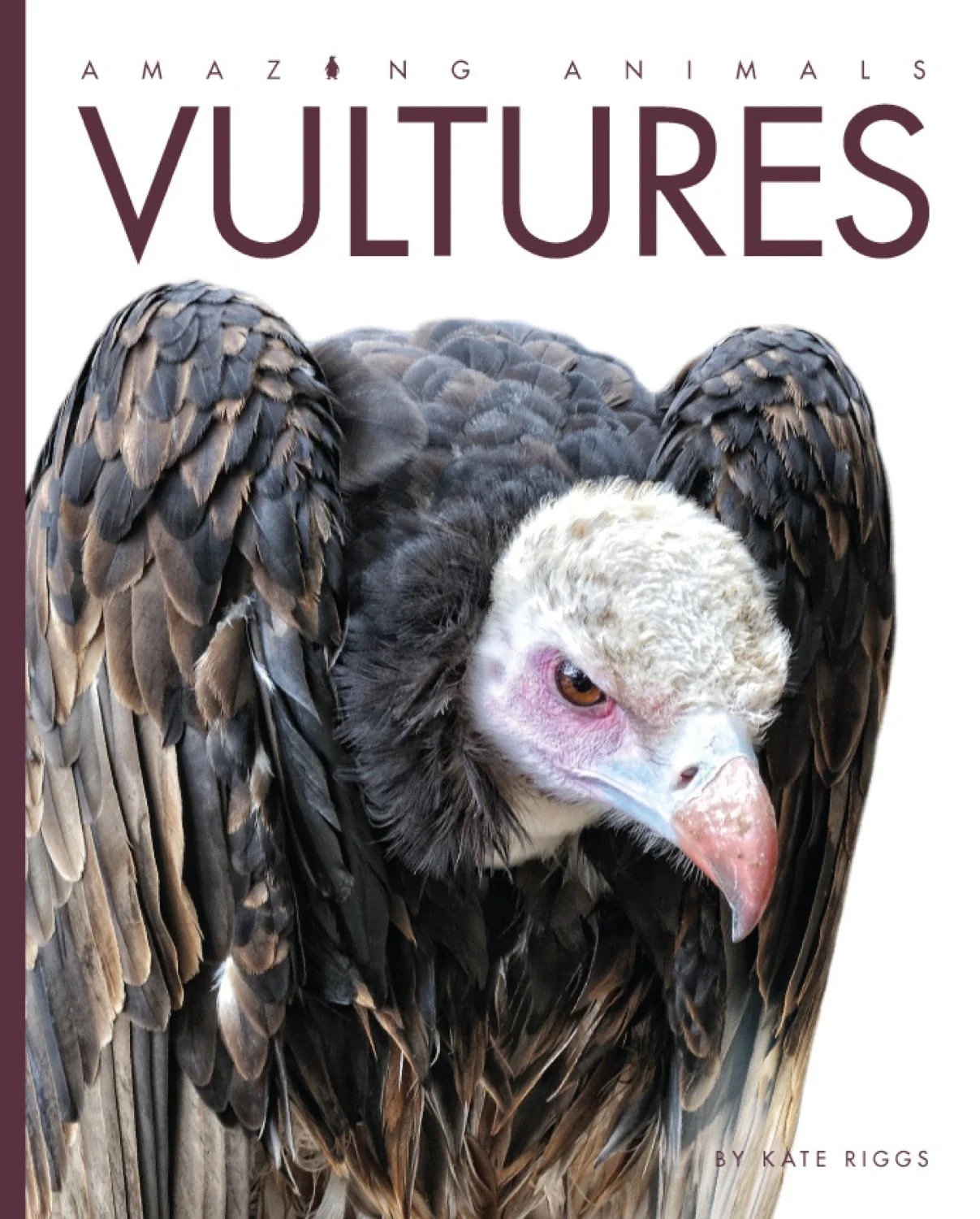 Vultures (Amazing Animals)