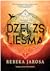 Dzelzs liesma