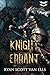 A Knight Errant by Ryan Van Ells