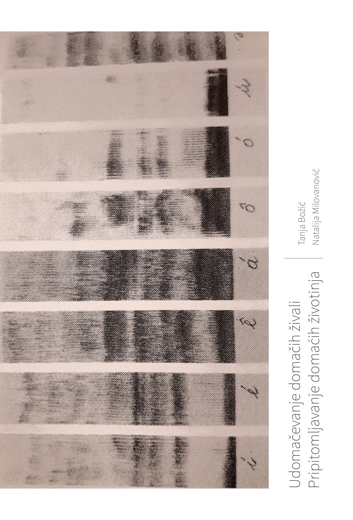 Udomačevanje domačih živali / Pripitomljavanje domaćih životinja (Paperback)