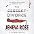 The Perfect Divorce (Perfect, #2)