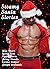 Steamy Santa Stories