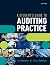 A Students Guide to Auditin...