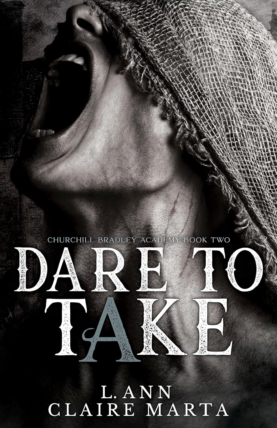 Dare To Take (Churchill Bradley Academy, #2)