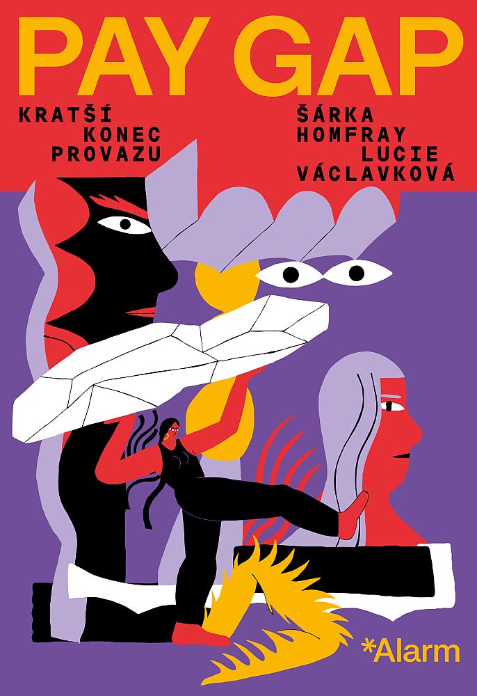 Pay Gap: Kratší konec provazu (Paperback)