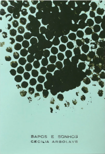 Sapos e Sonhos (Paperback)