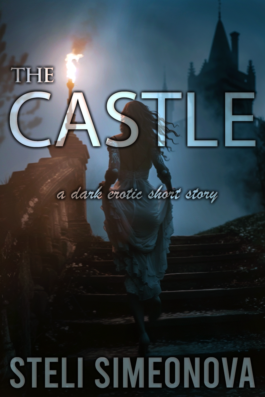 The Castle (Chasing In The Dark)