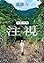 注視—都蘭野書