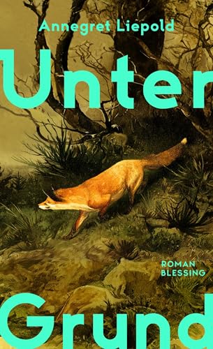 Unter Grund (Kindle Edition)