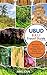 Ubud Bali Travel Guide 2024...