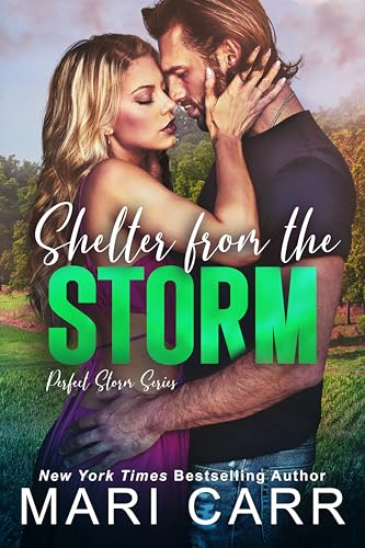 Shelter from the Storm (Perfect Storm, #2)