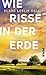 Wie Risse in der Erde
