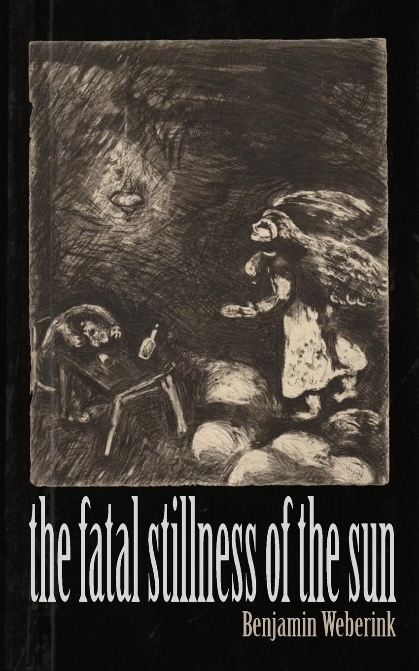 The Fatal Stillness Of The Sun (Paperback)