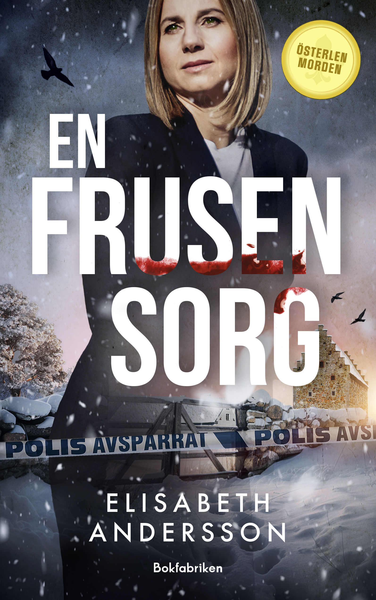 En frusen sorg (Österlenmorden, #3)