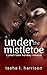 Under The Mistletoe: A Small Town Holiday Romance (A Small Town Romance)