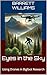 Eyes in the Sky: Using Dron...