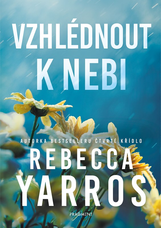 Vzhlédnout k nebi (Vzlety a pády, #2)