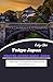 Tokyo Japan Travel Guide 2024-2025 by EVELYN BLAIR