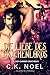 Die Liebe des Drachenlords (Die High Garden-Drachen 8) by CK Noel