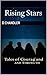 Rising Stars by D Chandler