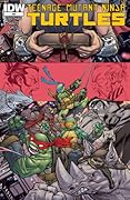 Teenage Mutant Ninja Turtles (2011-2024) #49