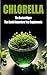 Chlorella : The Ancient Alg...