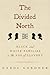 The Divided North: Black an...