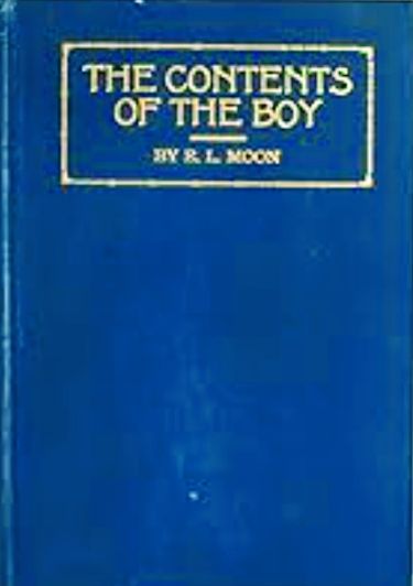 The contents of the boy (Hardcover)