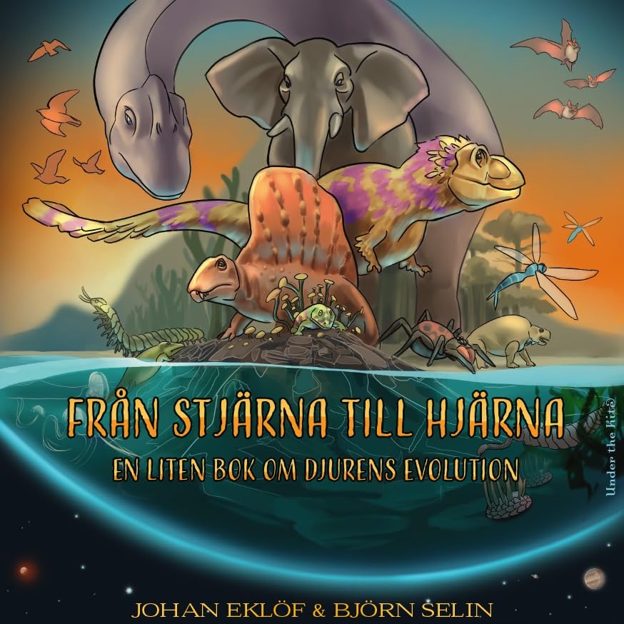 Från stjärna till hjärna- en liten bok om djurens evolution (Hardcover)