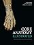 Core Anatomy - Illustrated