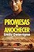 Promesas al anochecer
