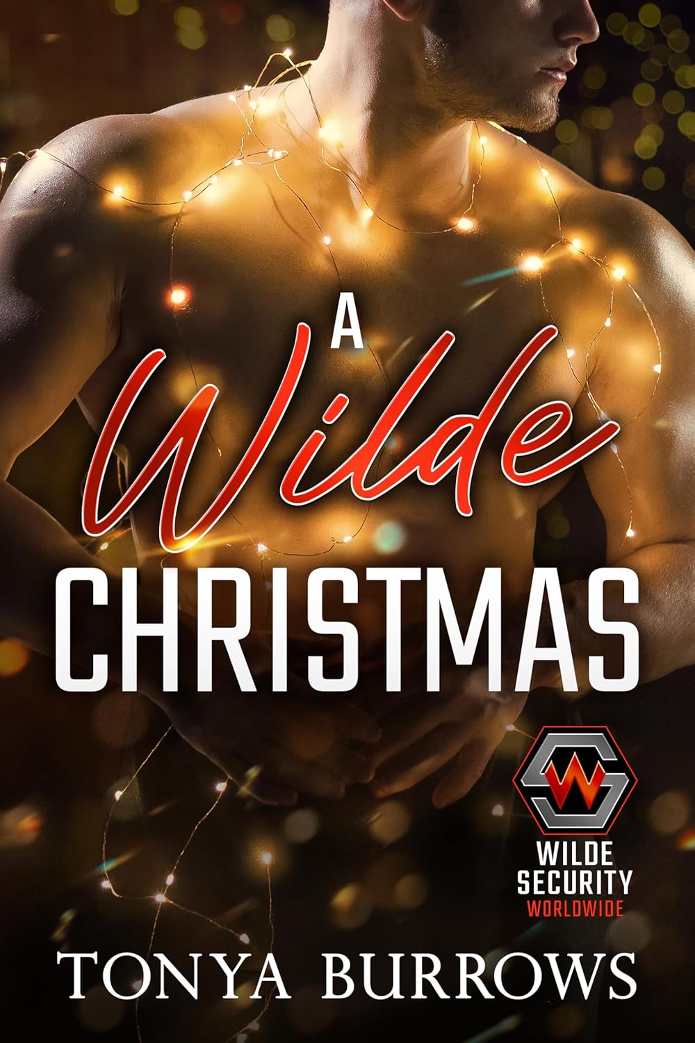 A Wilde Christmas (Wilde Security Worldwide, #0.5)