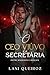 O CEO VIÚVO E A SECRETÁRIA:...