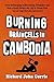 Burning Braincells in Cambodia by Richard John Currie