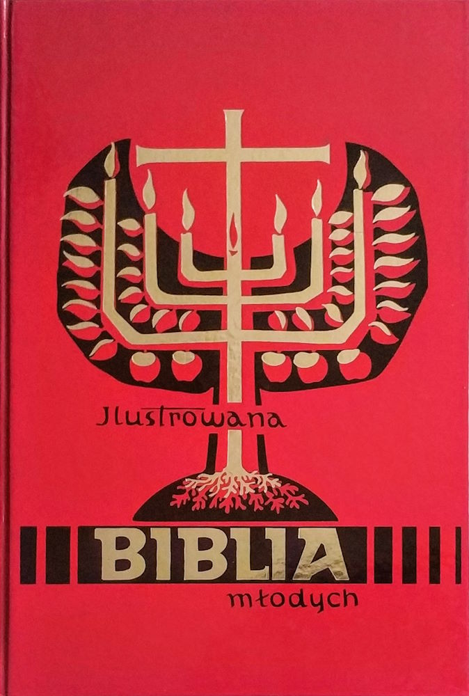 Ilustrowana Biblia młodych (Hardcover)