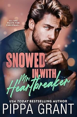 Snowed in with Mr. Heartbreaker (Copper Valley Bro Code, #5)