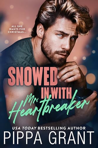 Snowed in with Mr. Heartbreaker (Copper Valley Bro Code, #5)