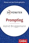 30 Minuten Prompting