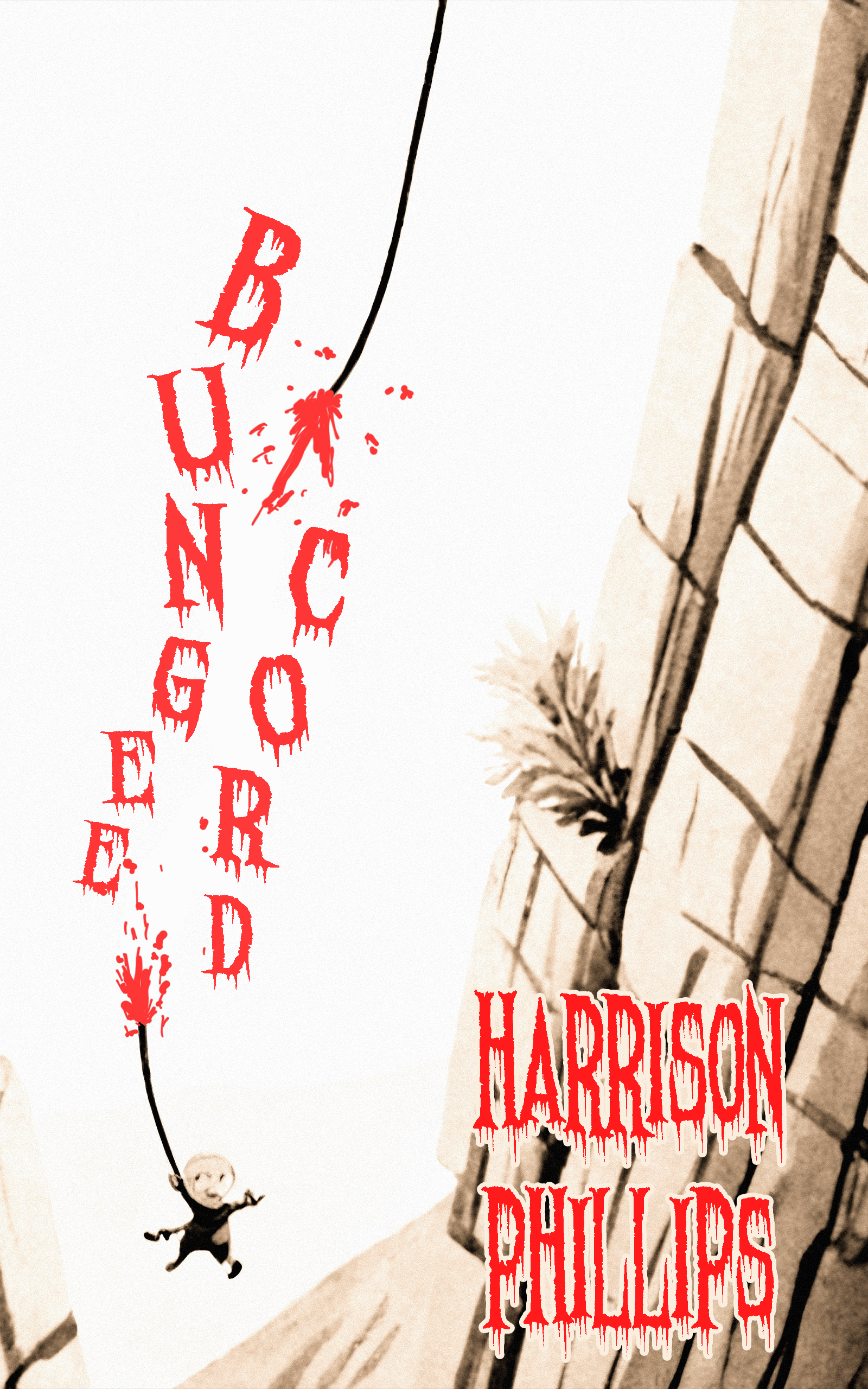 Bungee Cord (ebook)