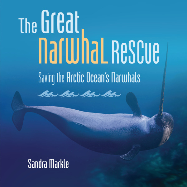 The Great Narwhal Rescue: Saving the Arctic Ocean's Narwhals (Sandra Markle's Science Discoveries)