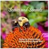 Scenes and Sonnets