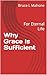 Why Grace is Sufficient by Bruce Mahone