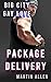 Big City Gay Love Package D...