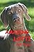 Amazing Lotti: Our Wonderfu...