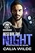 Restore the Night: A Destroyers MC Romance Novel