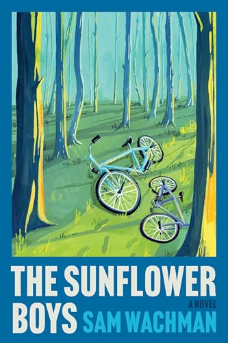 The Sunflower Boys (Hardcover)
