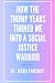 How The Trump Years Turned Me Into A Social Justice Warrior by Jebra Faushay